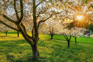پیش بینی هفتگی بارش و دمای هوای کشور از اواسط اردیبهشت ماه تا اواخر خرداد ماه اعلام شد